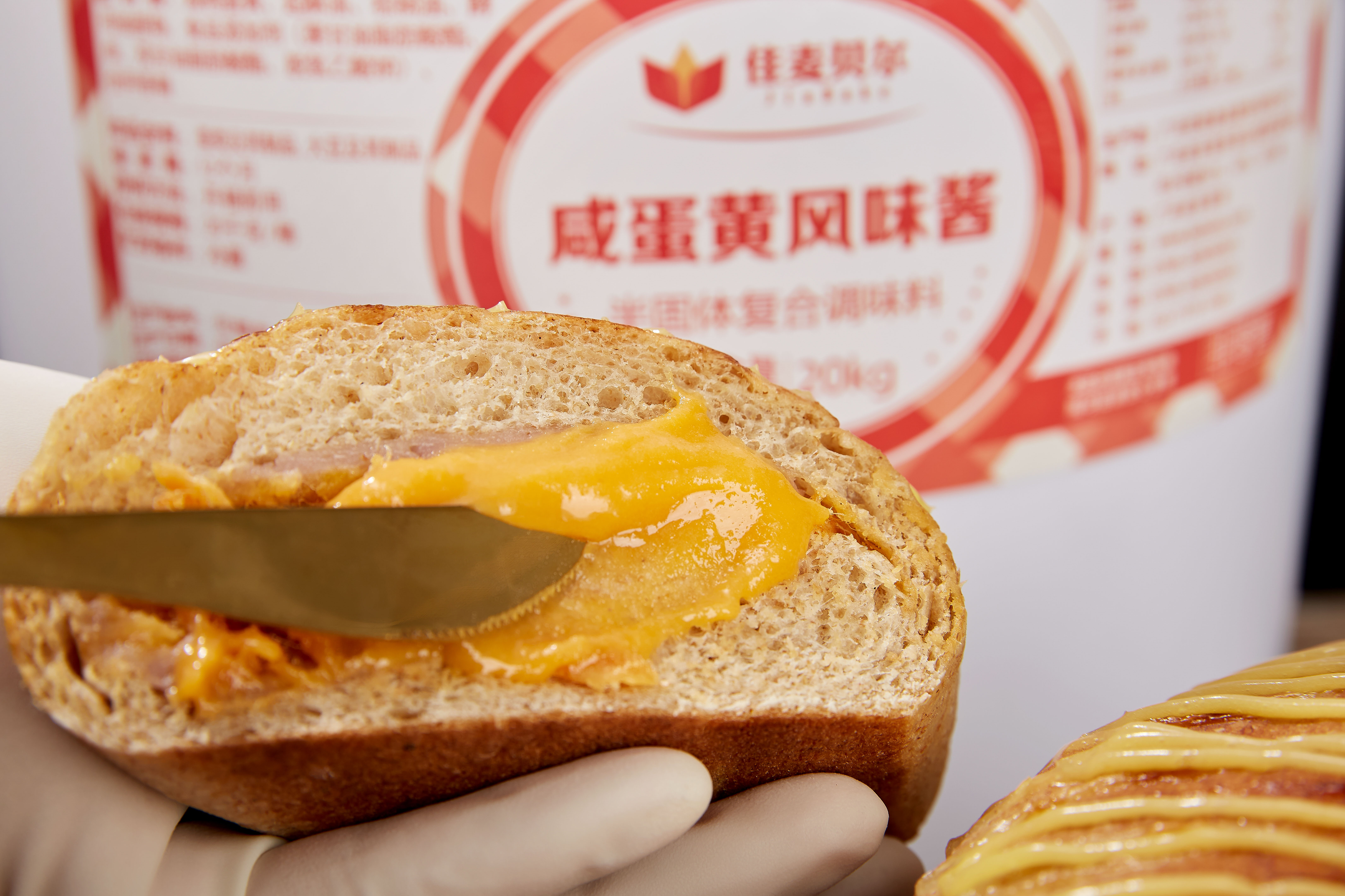 10201173咸蛋黃風味醬 10201173咸蛋黃風味醬